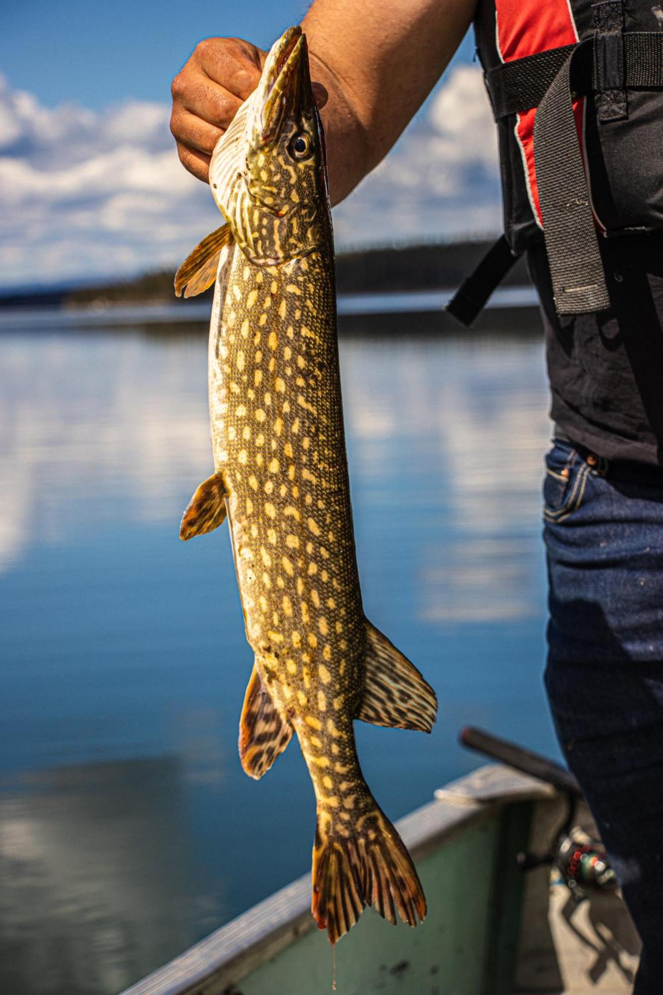 Little Atlin Lodge Tagish ภายนอก รูปภาพ
