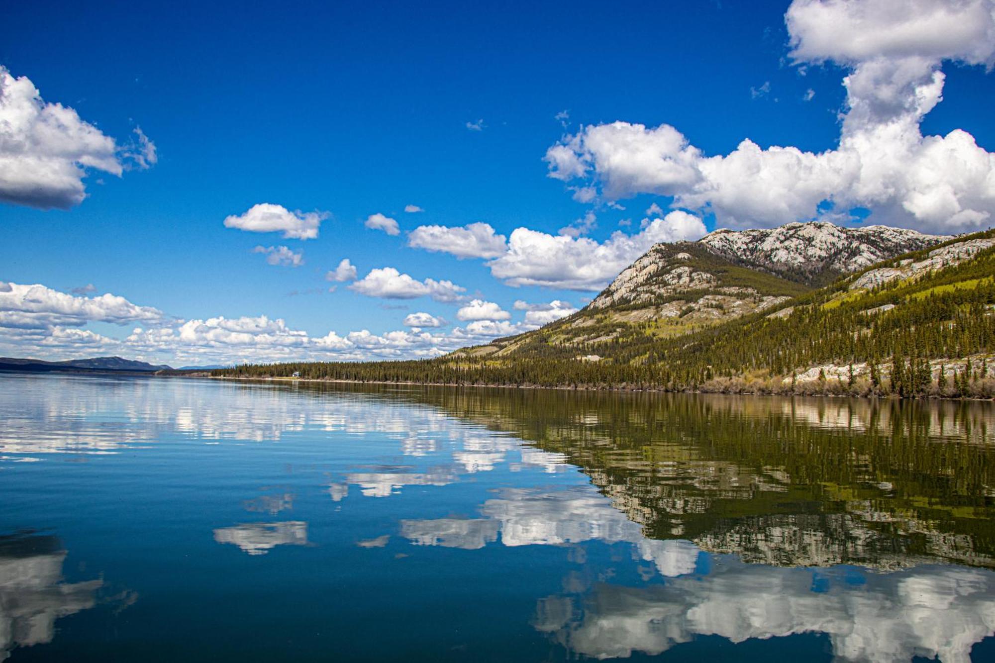 Little Atlin Lodge Tagish ภายนอก รูปภาพ