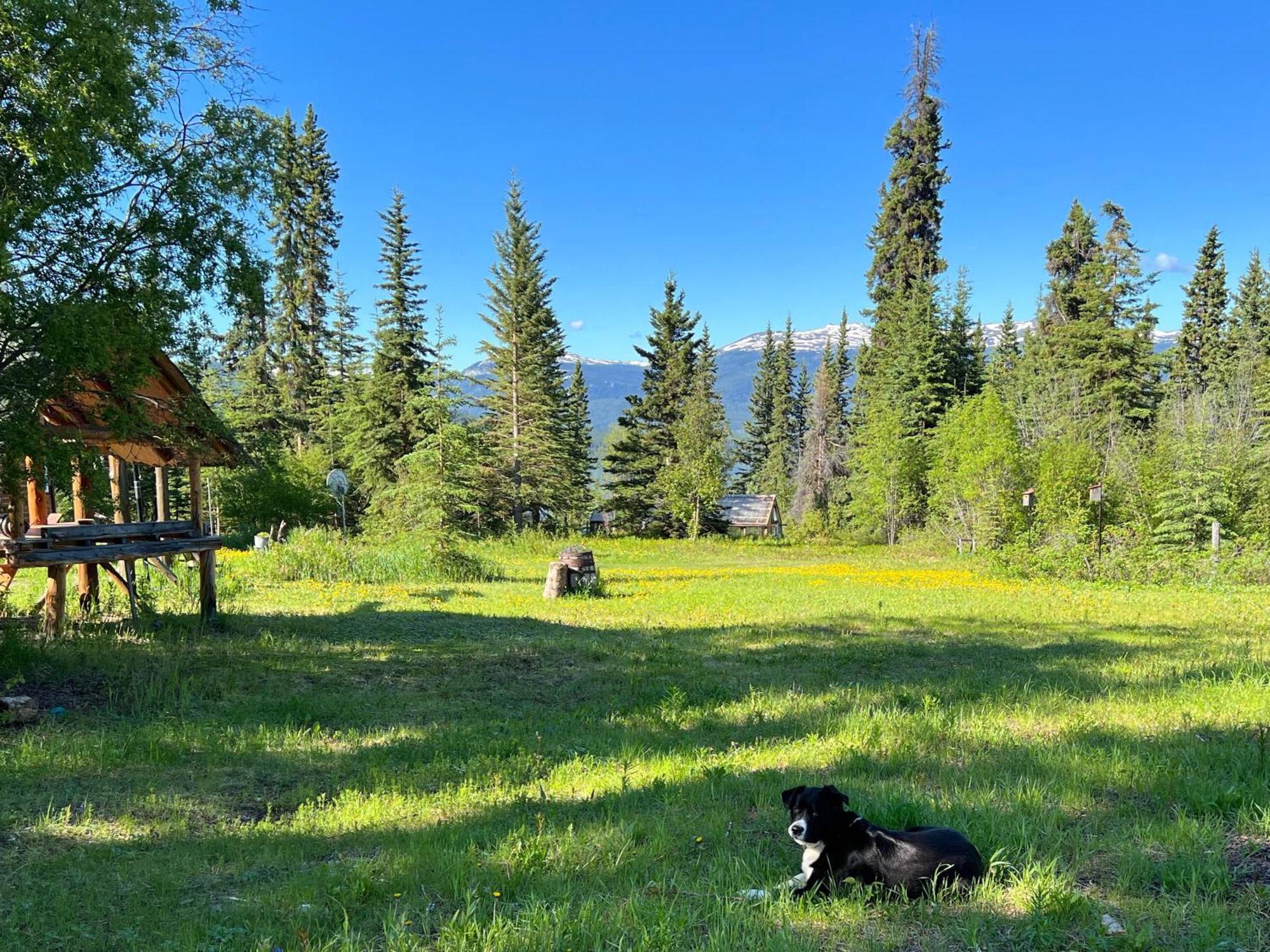 Little Atlin Lodge Tagish ภายนอก รูปภาพ